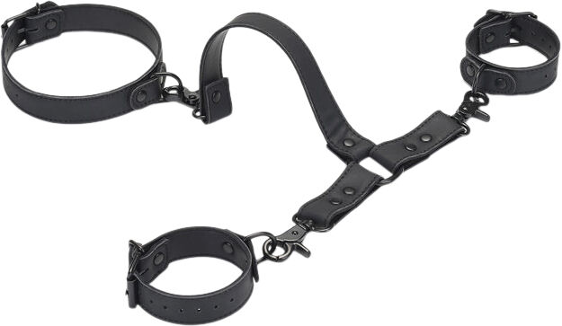 Wrist to Collar Restraint Set