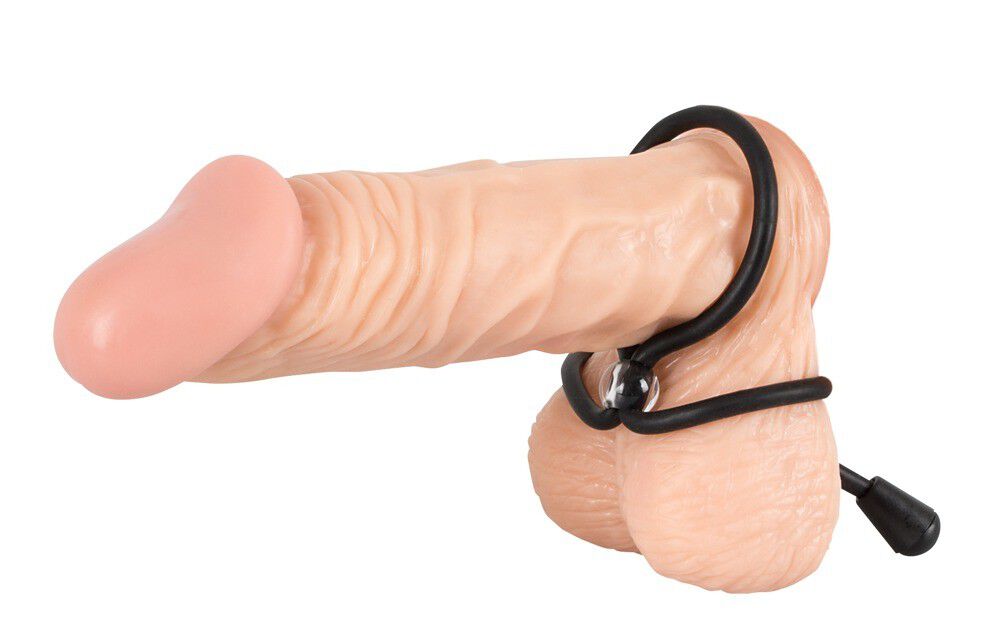 Bad Kitty Cock & Ball Loop