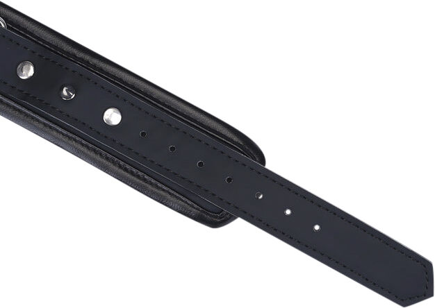 Studded Collar and Leash