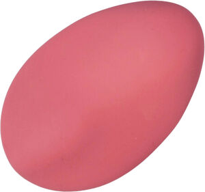 Nyx Klitoris Vibrator