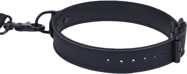 Wrist to Collar Restraint Set
