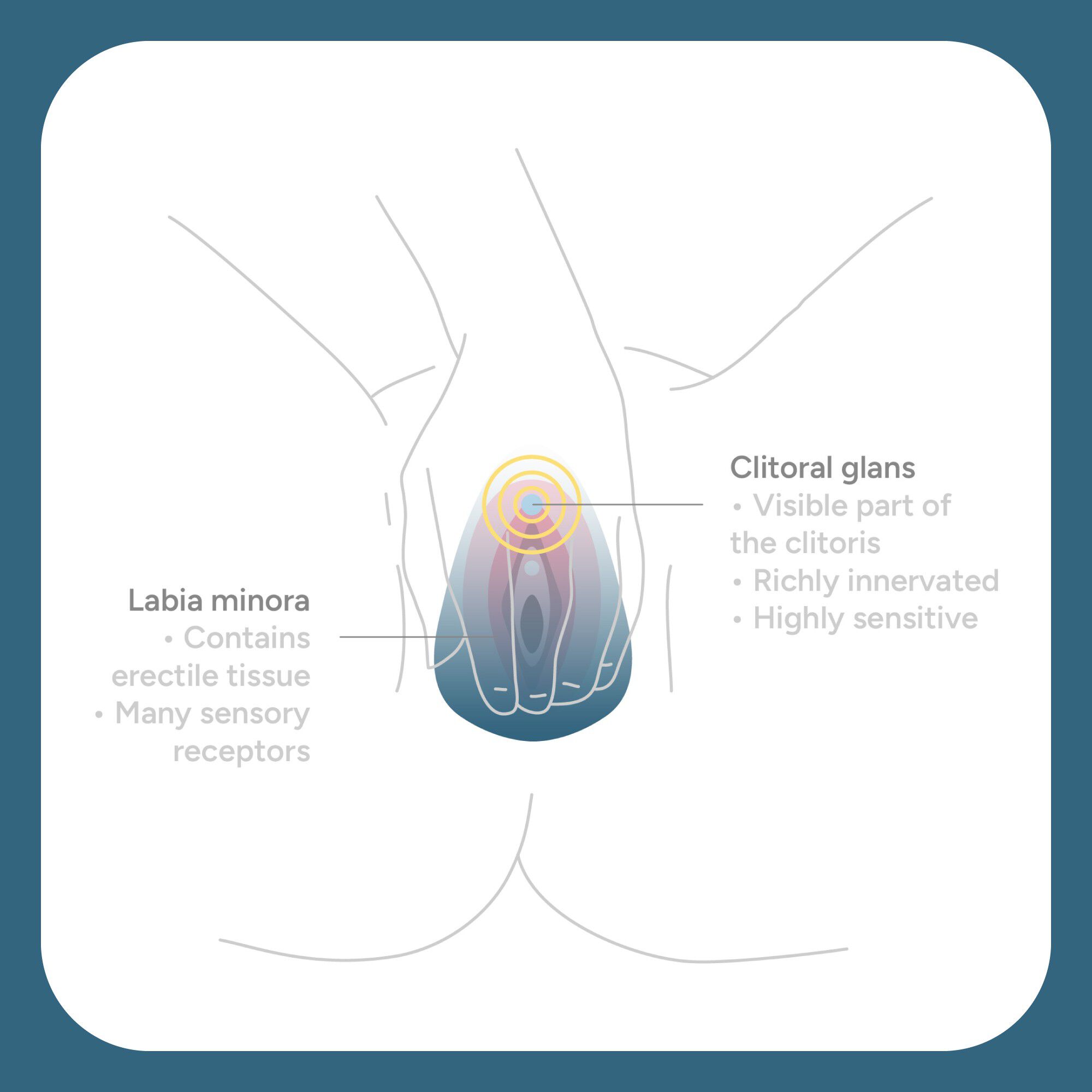 The Ballerina Klitoris Vibrator