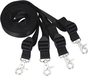 Under Mattress Restraint System