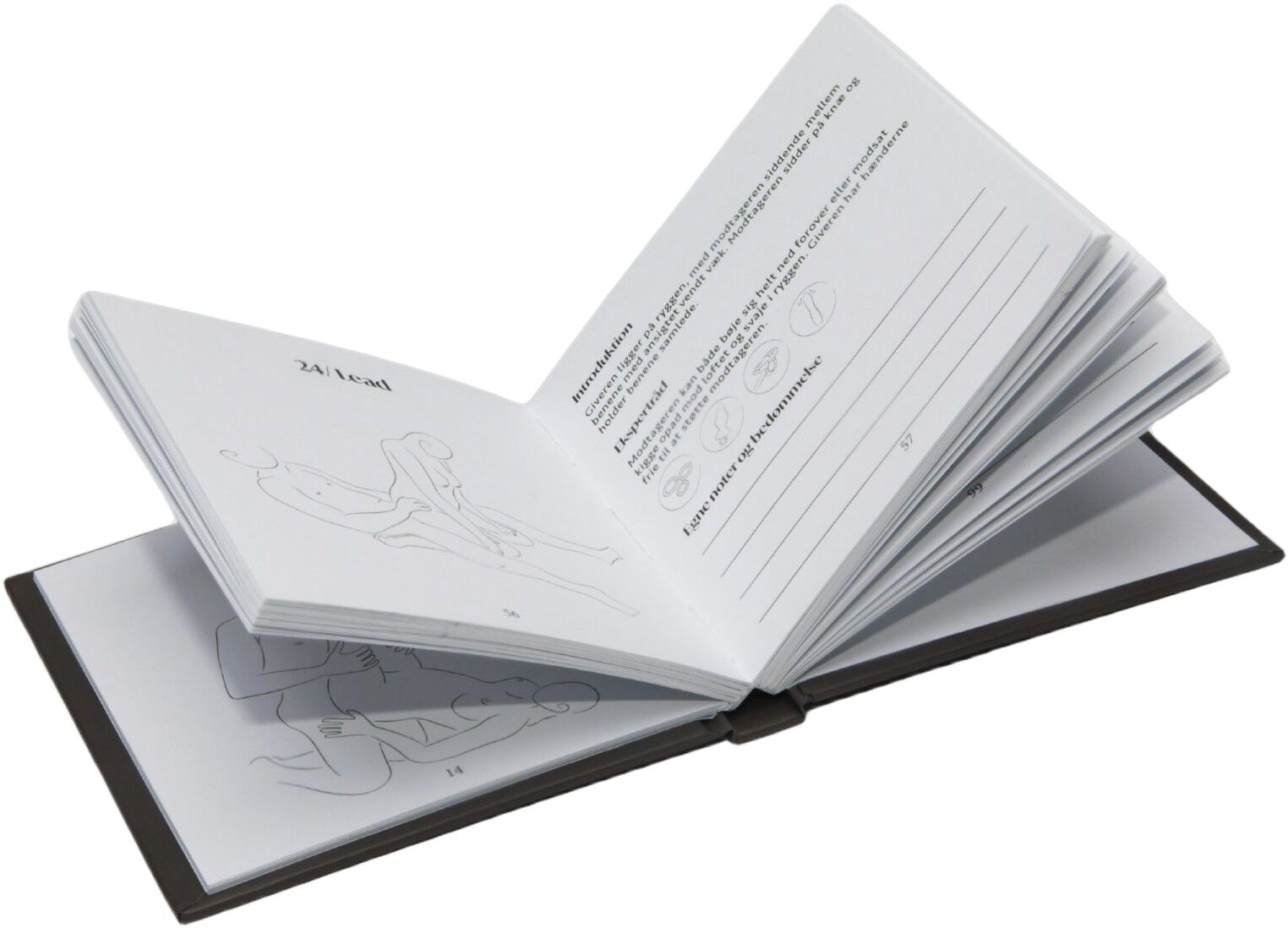 50 sexstillinger travel size