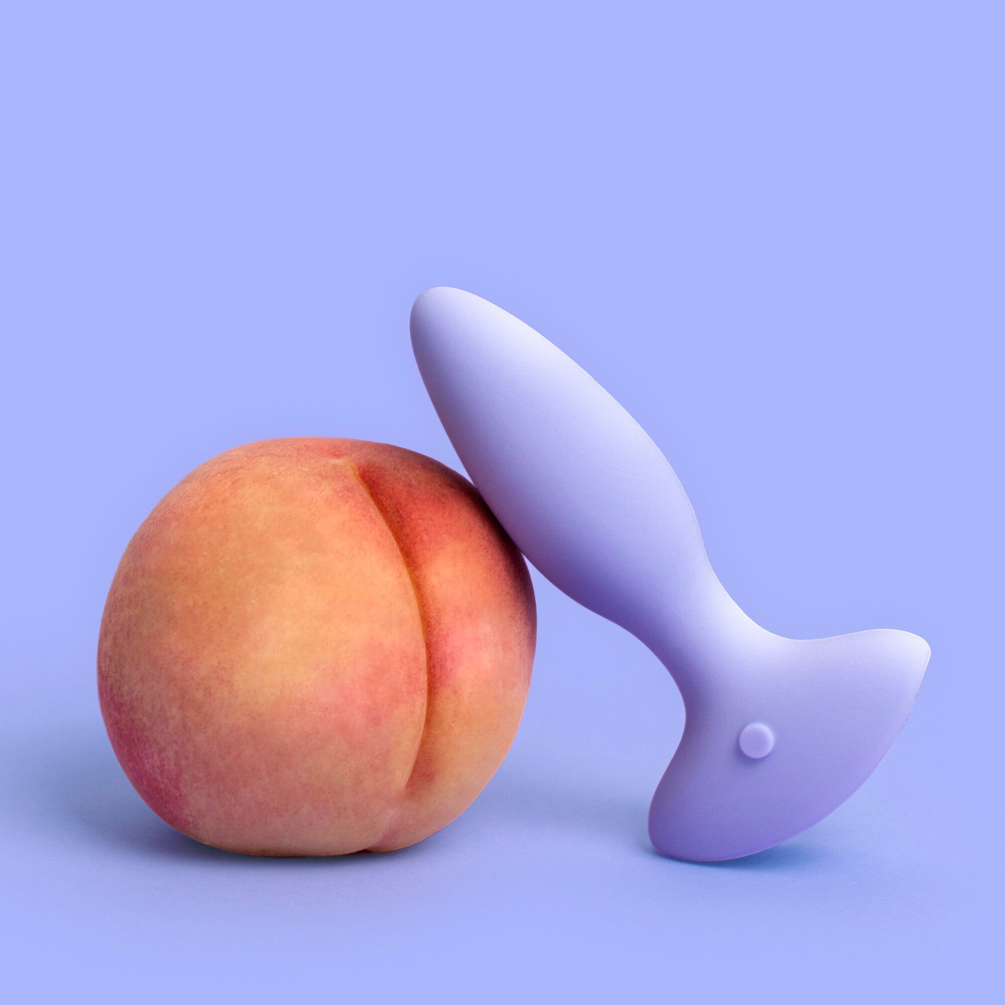 The Neighbor Anal Vibrator