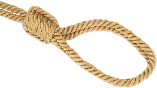 Bound You II Reb Halsb&aring;nd Med Snor