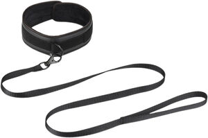 Collar with Leash