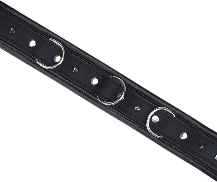 Studded Collar and Leash