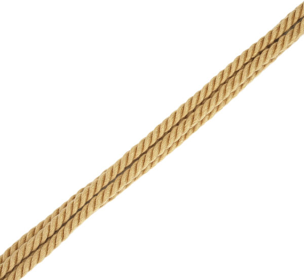 Bound You II Flogger Pisk