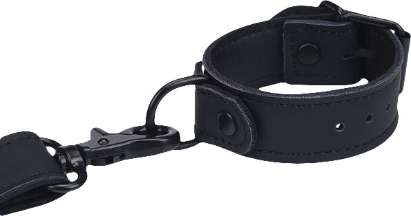 Wrist to Collar Restraint Set