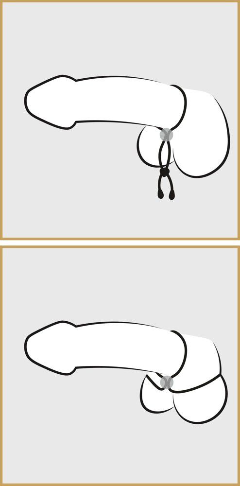Bad Kitty Cock & Ball Loop