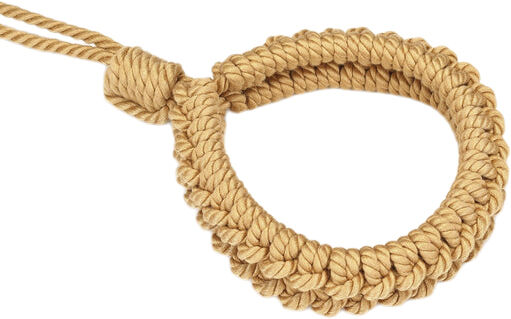 Collar to Wrist Cuffs Restraint Set