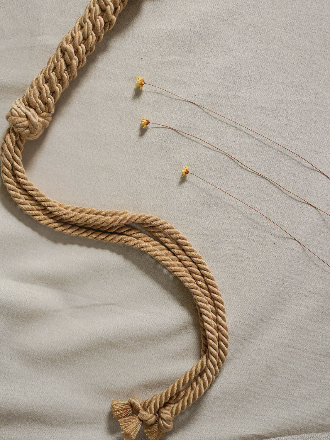 KANUKA | FLOGGER WHIP