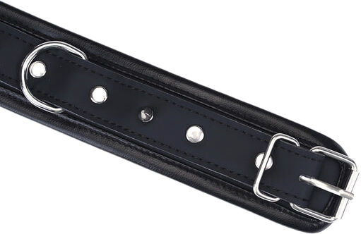 Studded Collar and Leash