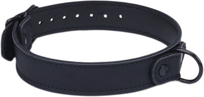 Wrist to Collar Restraint Set