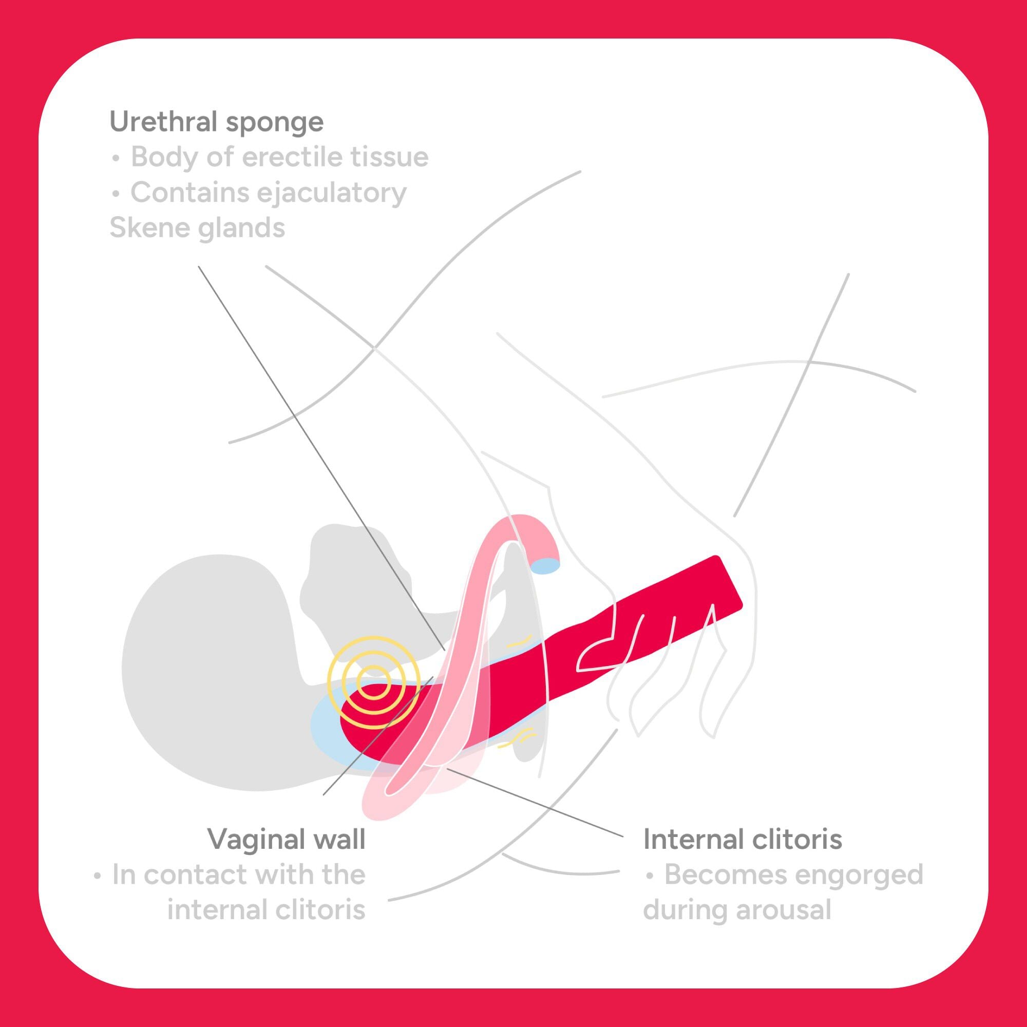 The Romantic Klitoris Vibrator