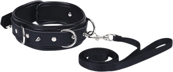 Studded Collar and Leash