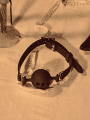 BDSM